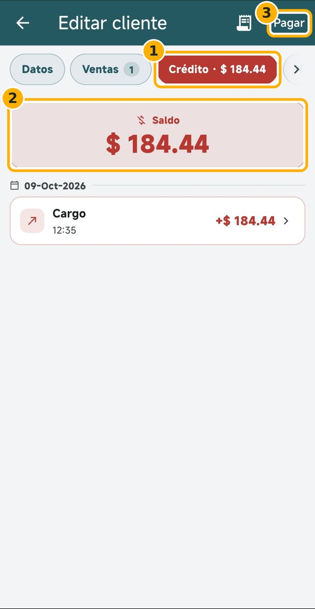 Paso 2: Revisa su crédito y toca Pagar