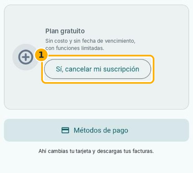 Paso 3: Cancela tu suscripción